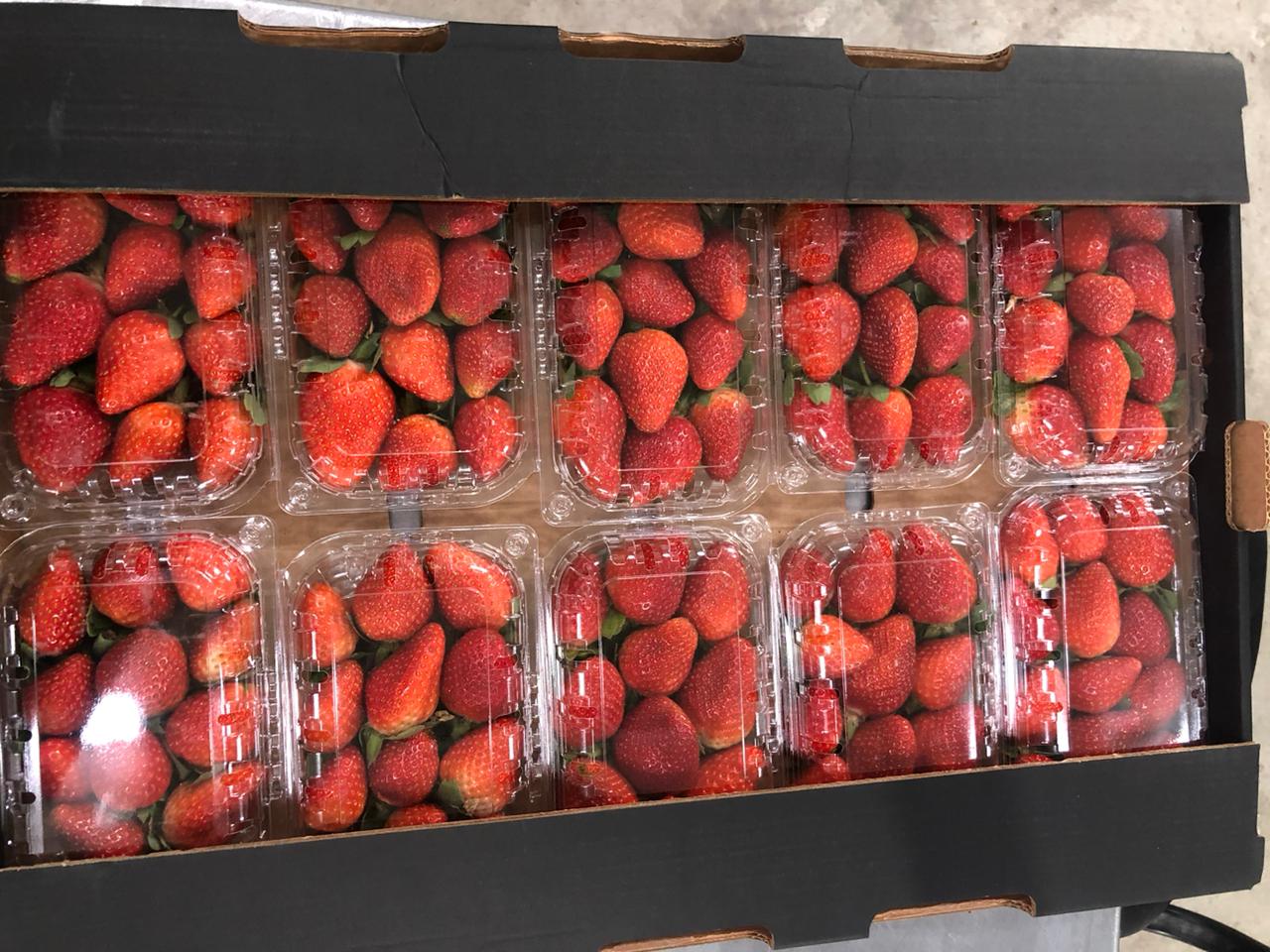 Strawberries in small containers