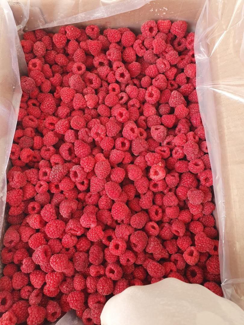 frozen raspberry