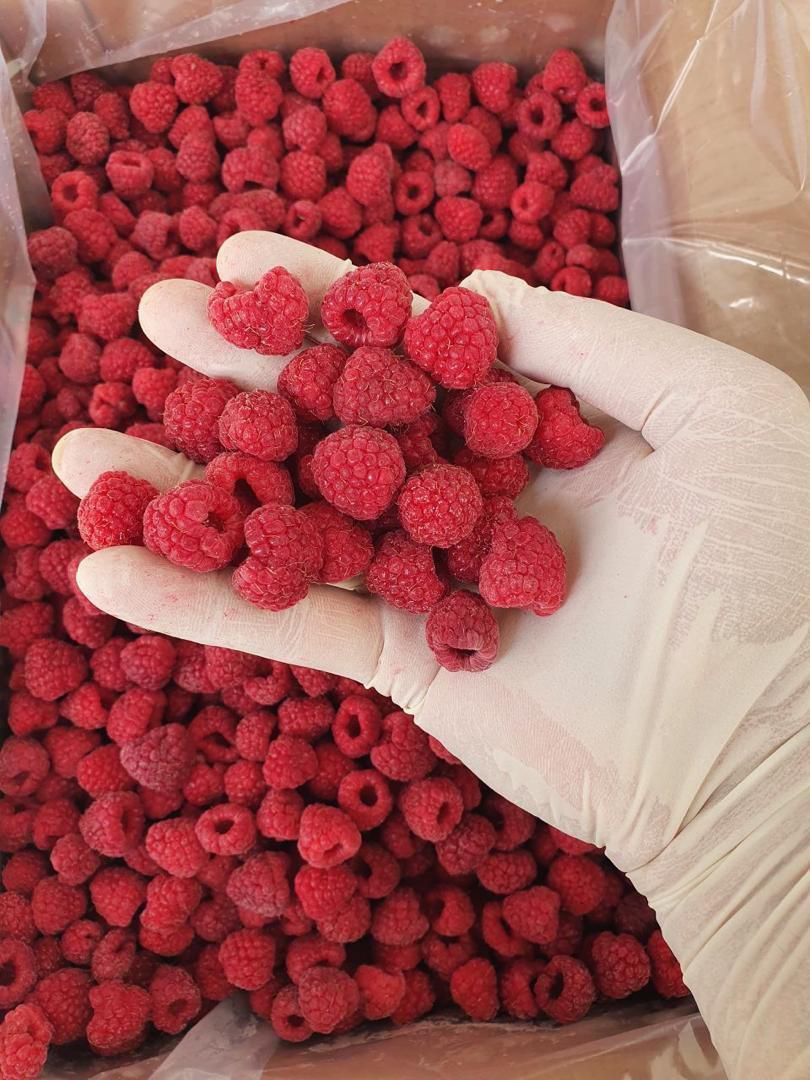 frozen raspberry