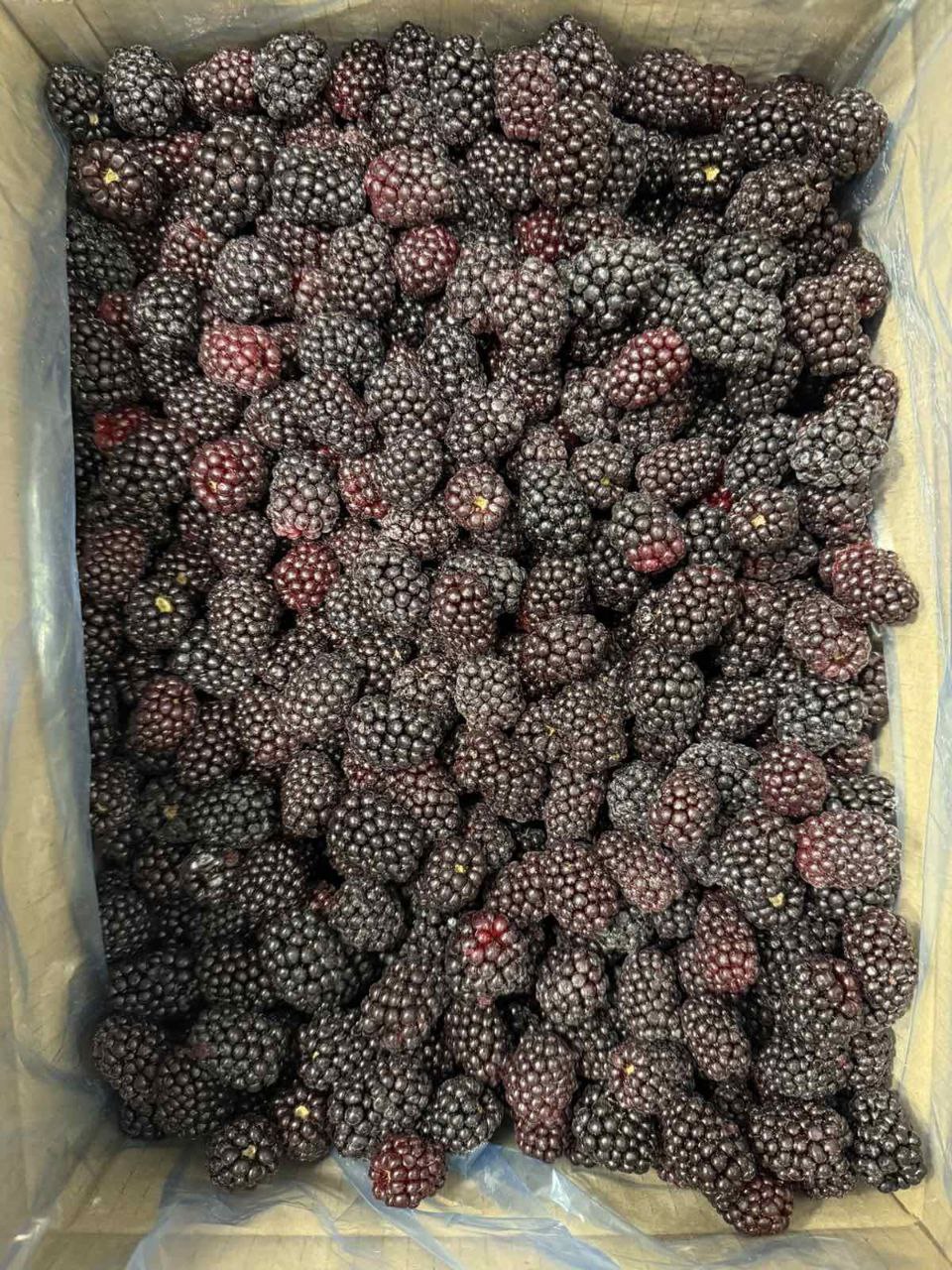 frozen blackberries in a cardboard box