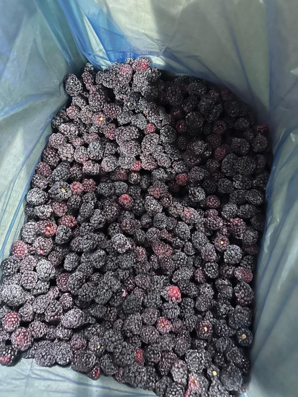 frozen blackberries in a cardboard box