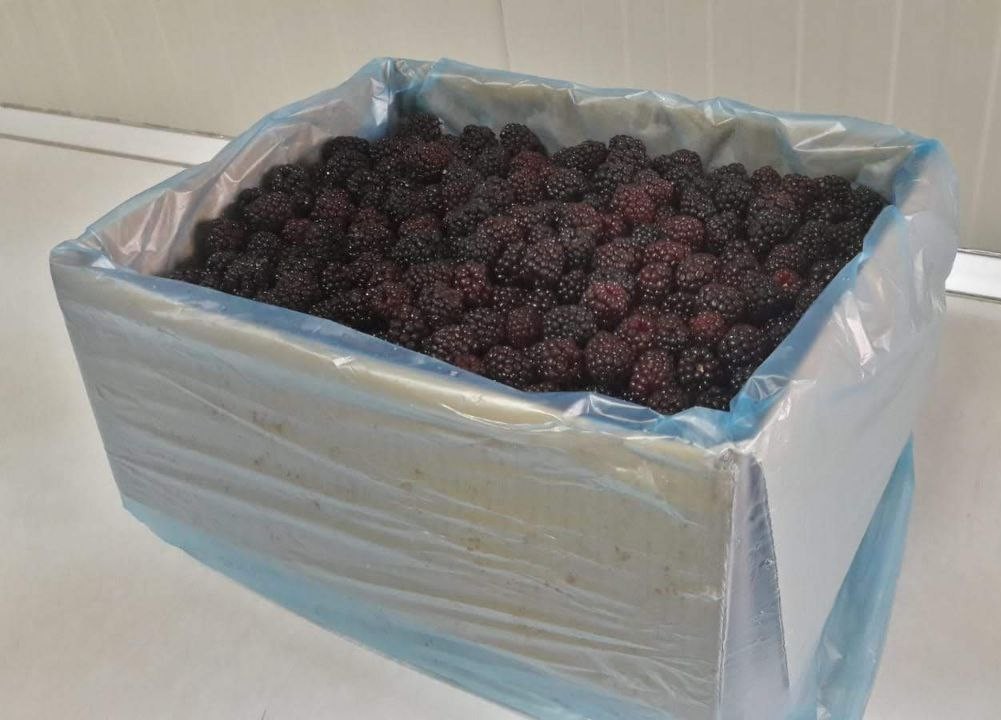 frozen blackberries in a cardboard box